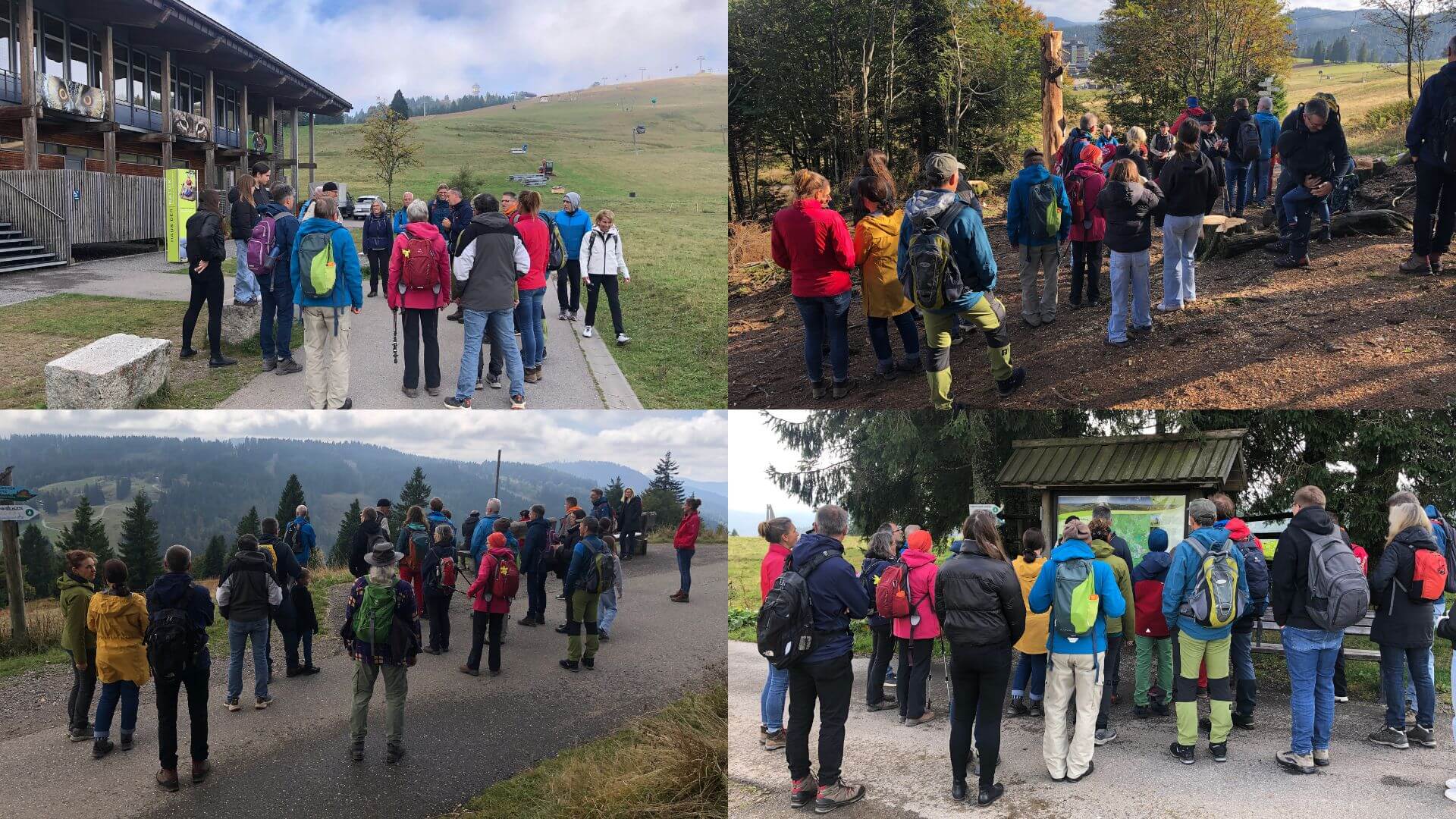 Vereinsausflug: Wandern auf dem Feldberg